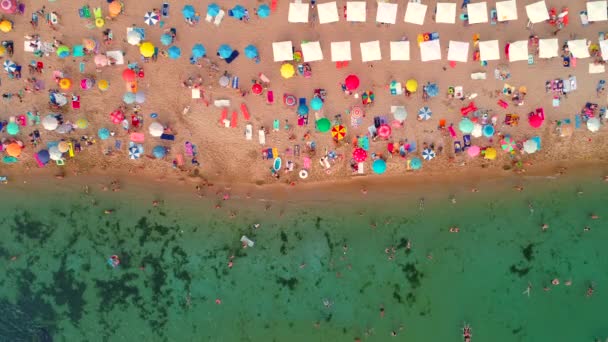 Vue Aérienne Sur Plage Parapluies Sable Personnes Vagues Mer — Video