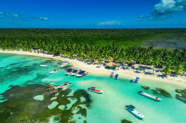 Flygfoto Över Tropiska Stranden Dominikanska Republiken — Stockfoto