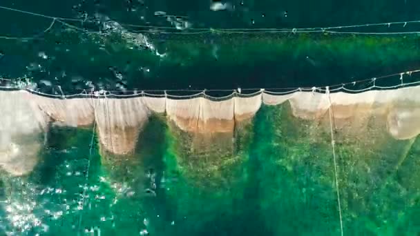 ヴァルナ ブルガリア 空中ドローン ビューで黒海の海岸付近の海の水で漁網 — ストック動画