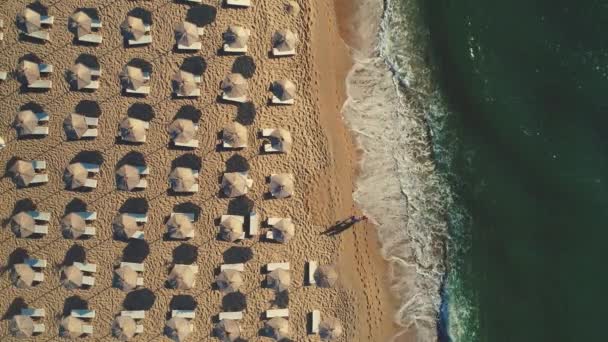 Luftaufnahme Vom Strand Sonnenschirme Sand Und Meereswellen Sommerferien — Stockvideo