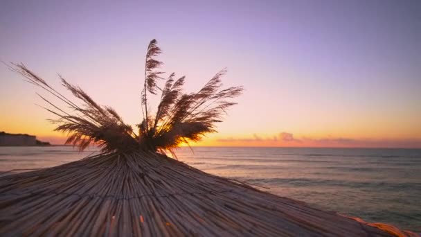 Sunrise Tropical Beach Parasol — Stock Video