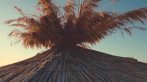 日出在热带海滩和阳伞 — 图库视频影像