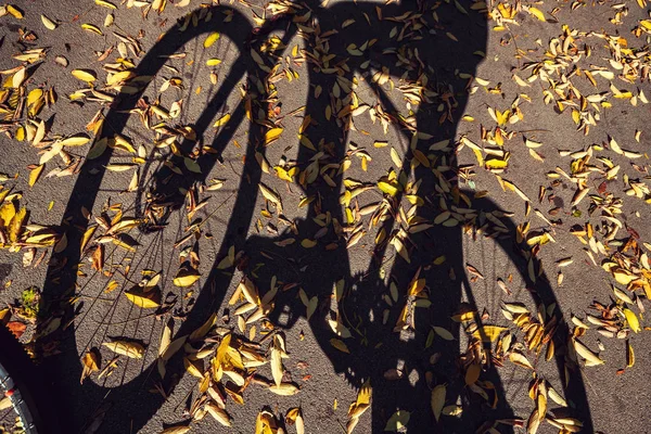 Shadow Cyclist Bike Road Autumn Leaves — Stock Photo, Image