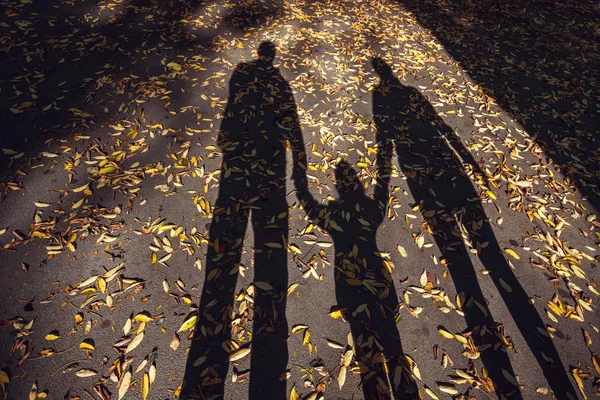 Тени Семьи Маленьким Ребенком Беременной Матерью Закате Дороге Осенними Листьями — стоковое фото