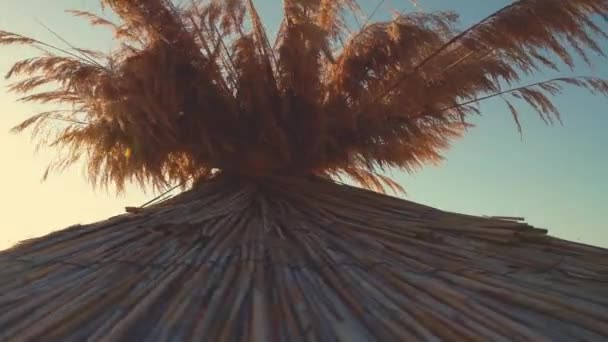 Zonsopgang Boven Het Tropische Strand Parasol — Stockvideo