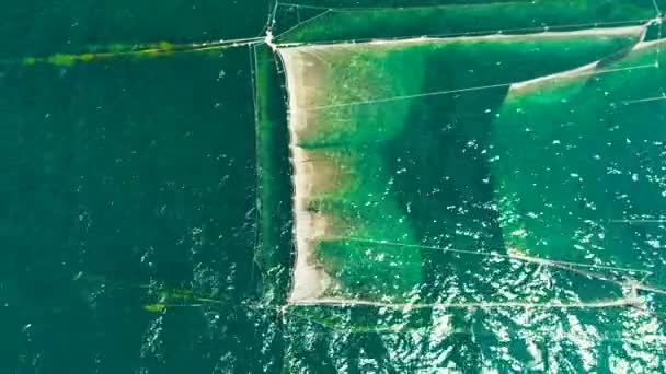 Fishing Nets Sea Water Coast Black Sea Varna Bulgaria Aerial — Stock Video