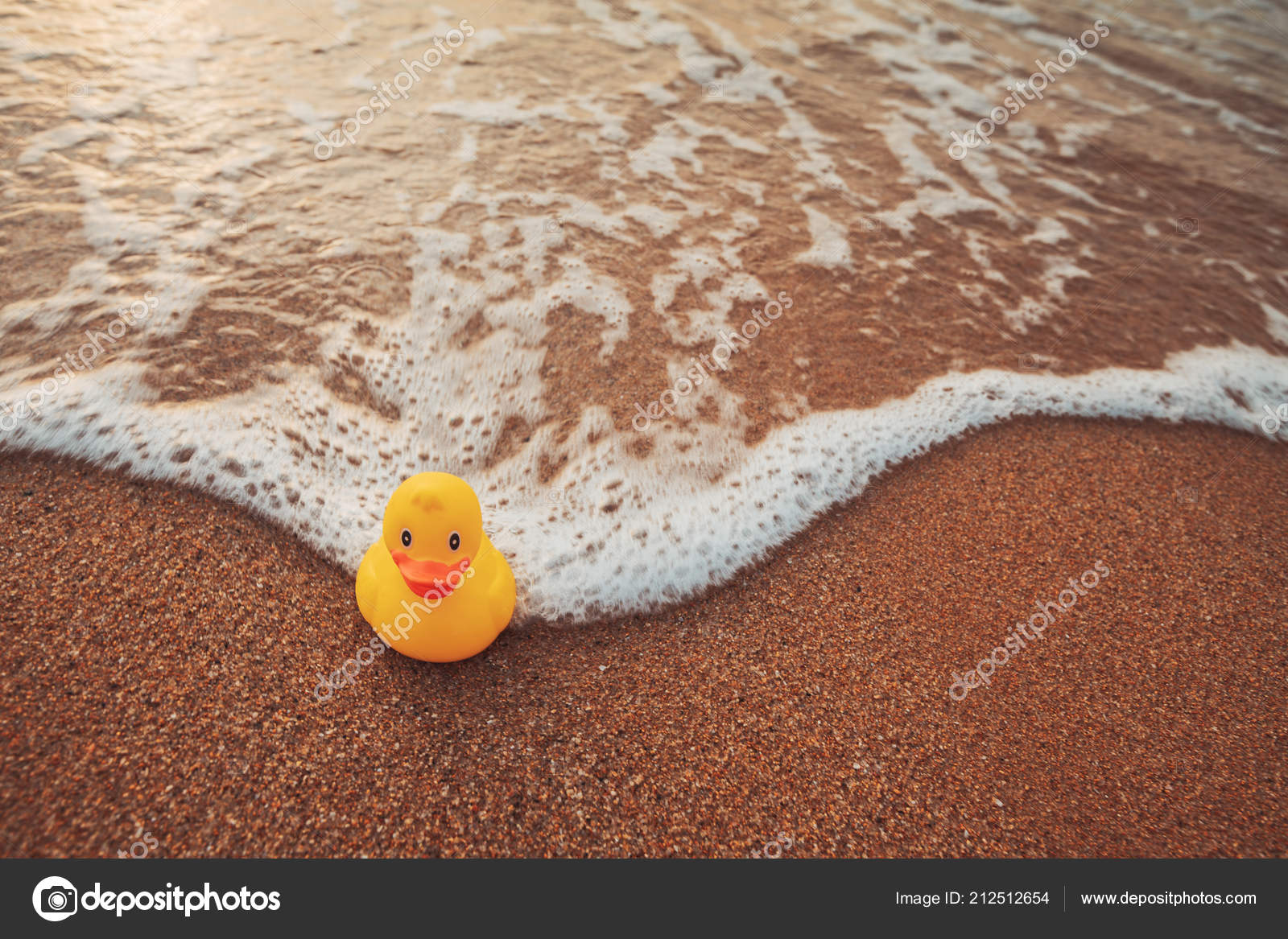 floating duck toy