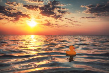 Yellow rubber duck toy floating in sea water. Beautiful sunrise on the beach. clipart