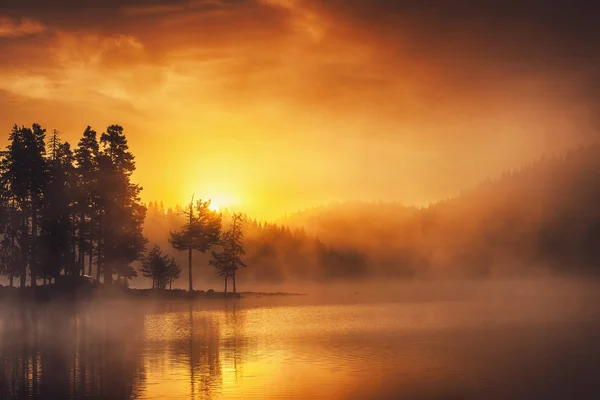 Ranní Mlha Jezeře Sunrise Výstřel Krásné Přírodní Pozadí — Stock fotografie