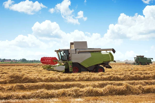 Combina Mietitrebbia Lavorando Grande Campo Grano Una Calda Giornata Autunnale — Foto Stock