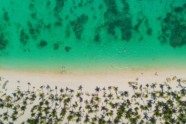 Dominik Cumhuriyeti, tropik ada plajının hava manzarası