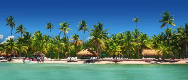 Panoramic view of Exotic Palm trees on the tropical Island beach clipart