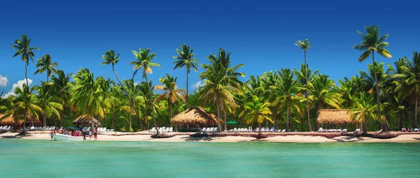 Panoramiczny Widok Drzew Egzotycznych Palm Tropikalnej Plaży Wyspa — Zdjęcie stockowe