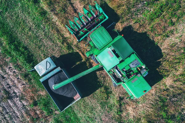 Vista Aérea Ceifeira Debulhadora Máquina Agrícola Colheita Girassol — Fotografia de Stock