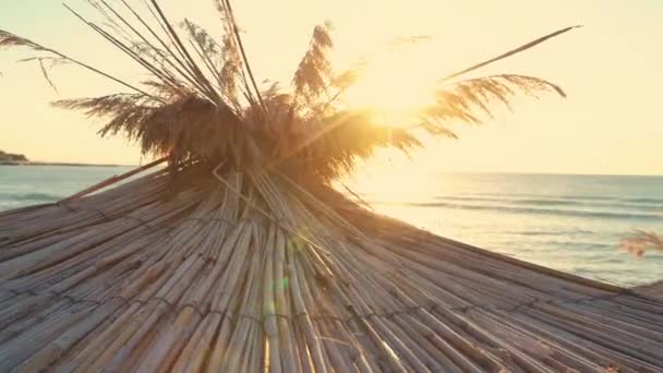 Golden Sunrise Över Tropisk Strand Och Parasoll — Stockvideo