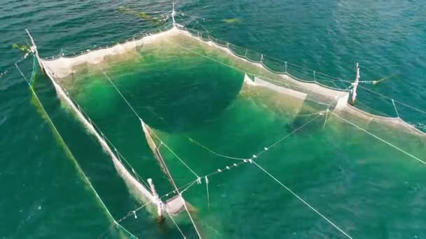 ヴァルナ ブルガリア 空中ドローン ビューで黒海の海岸付近の海の水で漁網 — ストック動画