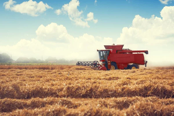 Combineer Oogstmachine Landbouwmachine Oogsten Gouden Rijpe Tarwefiel — Stockfoto