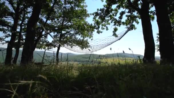 在葡萄园附近的树下摇摆吊床 — 图库视频影像