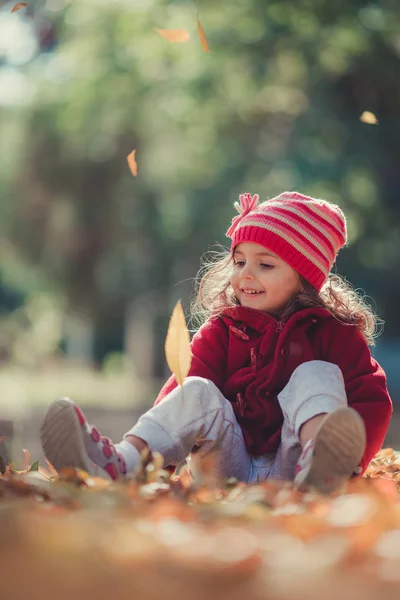 Vacker Liten Flicka Sitter Nedfallna Blad Hösten Park — Stockfoto