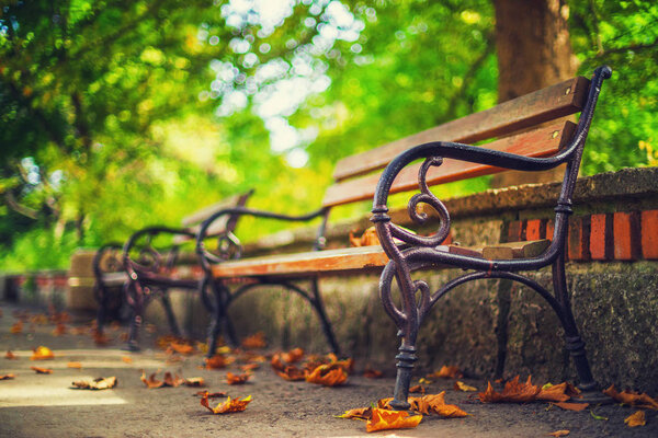 Bench in autumn park. Autumn landscape.