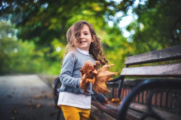 Krásná Holčička Podzimním Parku — Stock fotografie