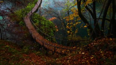 Güzel şelale, göller ve sonbahar orman Plitvice Milli Parkı, Hırvatistan