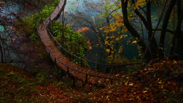 Krásný Vodopád Jezera Podzimní Les Národní Park Plitvická Jezera Chorvatsko — Stock video