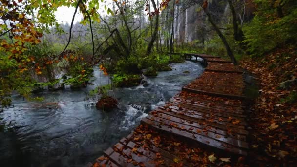 Schöner Wasserfall Seen Und Herbstwald Plitvicer Nationalpark Kroatien — Stockvideo