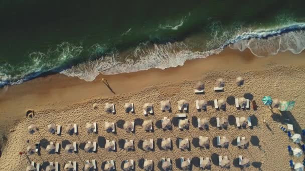 Αεροφωτογραφία Του Πάνω Στην Παραλία Ομπρέλες Άμμο Και Θάλασσα Κύματα — Αρχείο Βίντεο
