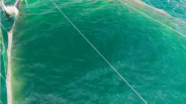 在保加利亚瓦尔纳黑海沿岸海域的海水捕鱼网 空中无人机景观 — 图库视频影像