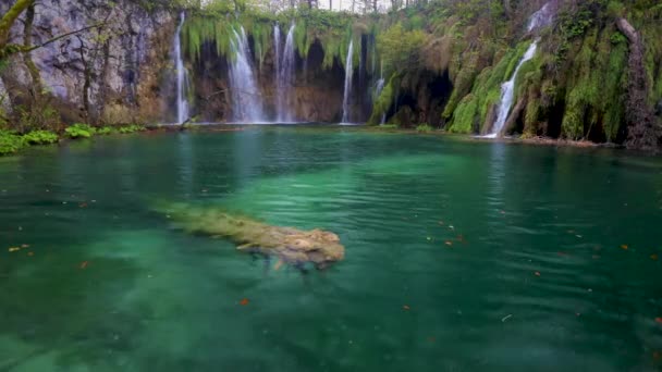 Helder Water Meren Herfst Bos Plitvice Nationaal Park Kroatië — Stockvideo