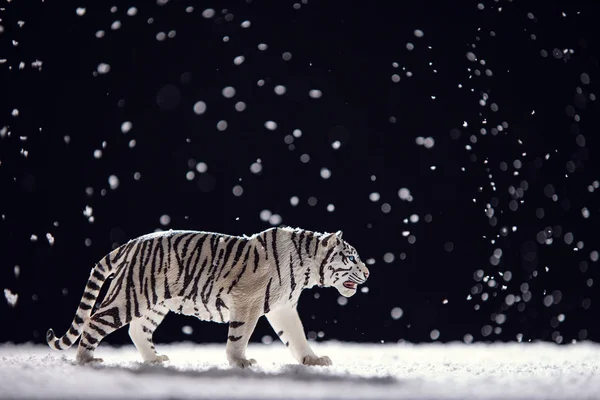 圣诞节期间背景 老虎在雪 演播室隔绝 — 图库照片