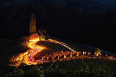 Ünlü kalp şeklinde şarap yol Slovenya'da, Maribor yakınındaki Spicnik üzerinden görüntülemek.