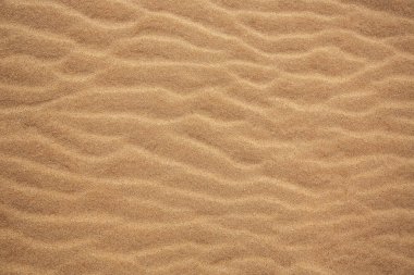 Kum dokusu. Arka plan için kumsal. Üst görünüm. 