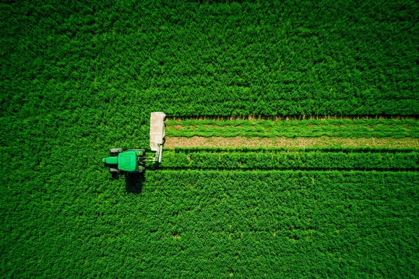 Traktor Slåtter Grön Jordbruksområdet Antenn Drönarvy — Stockfoto