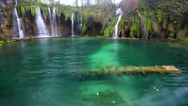 Tartoznak Törölje Jelet Víz Őszi Erdő Plitvice Nemzeti Park Horvátország — Stock videók
