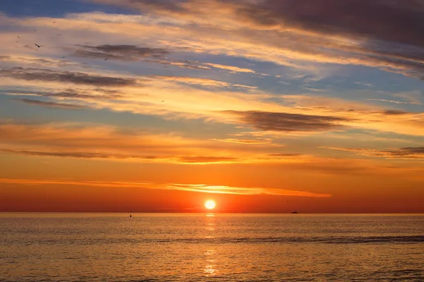 Vacker Soluppgång Över Havet Moln Och Flygande Måsar — Stockfoto