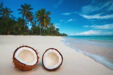 İki halfs Hindistan cevizi meyve tropikal Kum Plajı'nda denize karşı. Punta Cana 