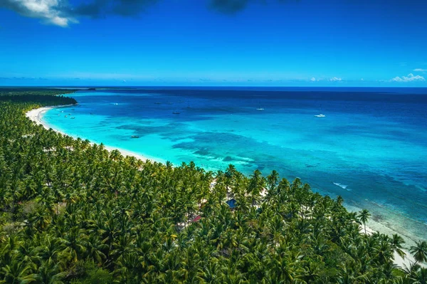 Vista Aérea Playa Isla Tropical Resort Punta Cana República Dominicana — Foto de Stock