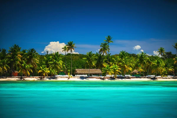 Tropikalnej Plaży Mieście Punta Cana Dominikana Seascape Wyspy Tropikalne — Zdjęcie stockowe