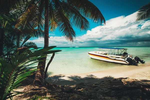 Wyspa Saona Palmy Łodzią Motorową Tropikalnej Plaży Dominikana — Zdjęcie stockowe