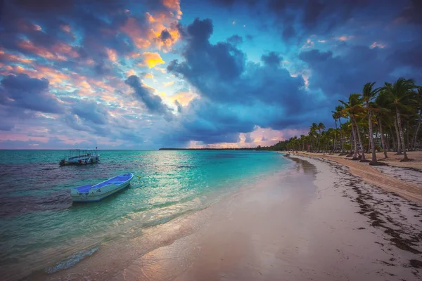Palmbomen Tropische Strand Bavaro Punta Cana Dominicaanse Republiek — Stockfoto