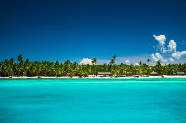 Punta Cana 'daki tropik plaj, Dominik Cumhuriyeti