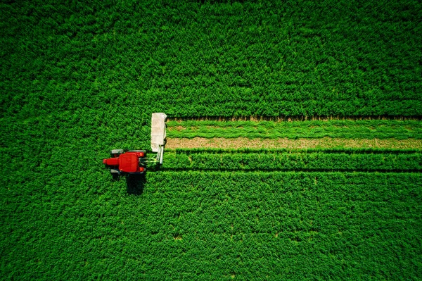 Tractor Mowing Green Field Aerial View — Stock Photo, Image