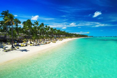 Punta Cana, Dominik Cumhuriyeti için tatil tropikal. Havadan görünümü üzerinde beach resort. Parasailing. Güneşlenme.