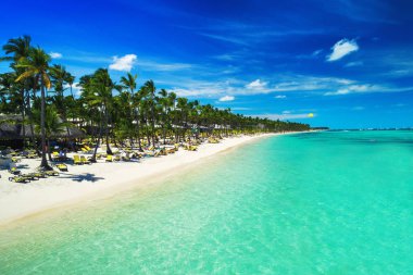 Tropical vacation in Punta Cana, Dominican Republic. Aerial view over beach resort. Parasailing. Sunbathing. clipart