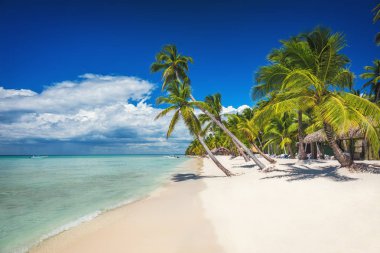 Beach with palm and a sailing boat in the turquoise sea on  Saona Paradise Island clipart