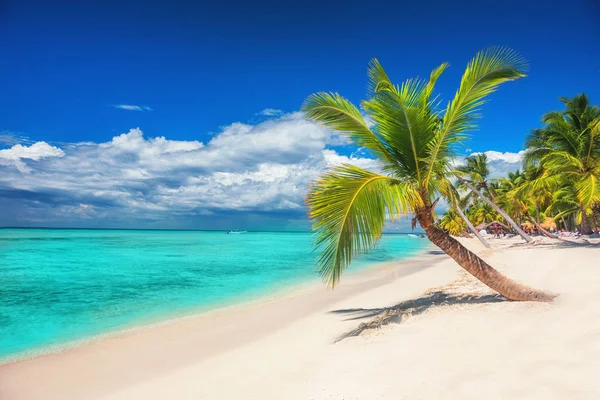在索纳天堂岛的绿松石海的海滩与棕榈和帆船 — 图库照片