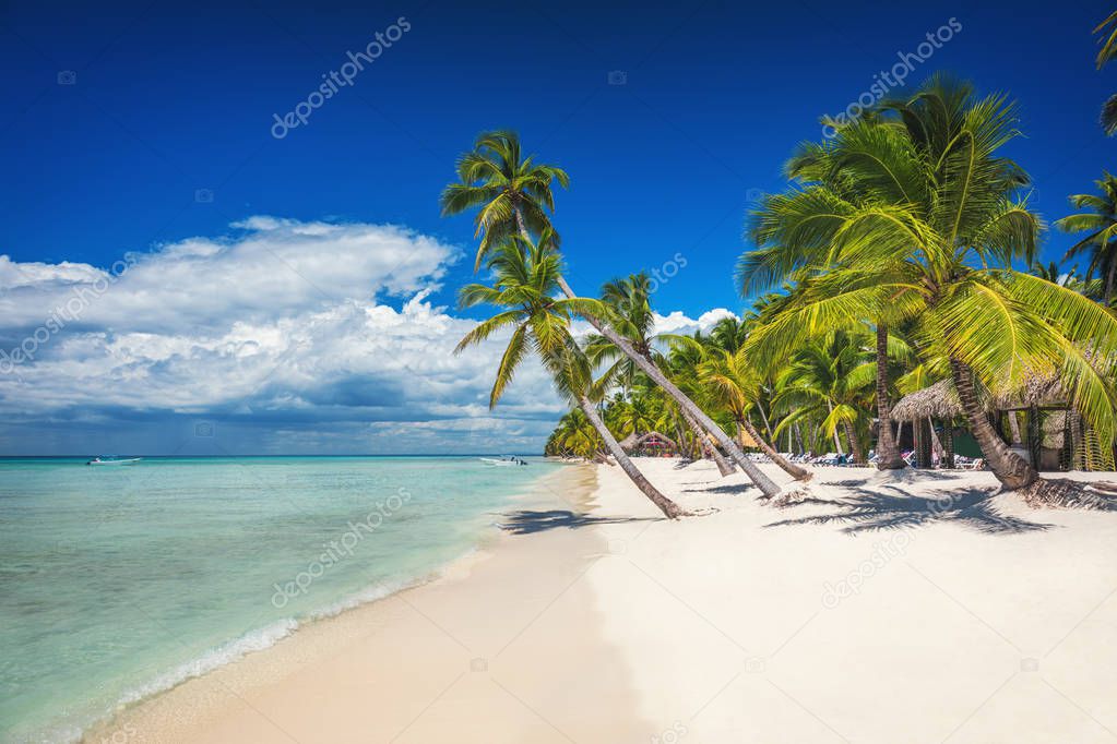 Beach with palm and a sailing boat in the turquoise sea on  Saona Paradise Island