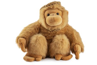 Monkey doll plush toy studio isolated. Chimpanzee, jocko, gorilla, anthropoid, hominids. clipart